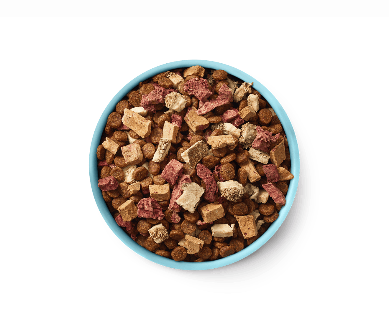 Beef dog food bowl